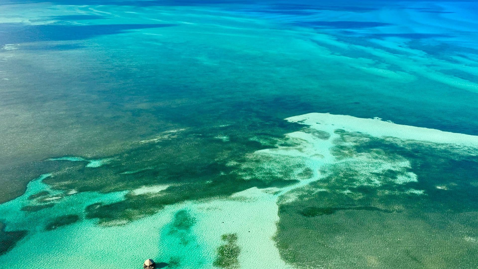 Bahamas Digital Nomad Visa: Requirements and Application