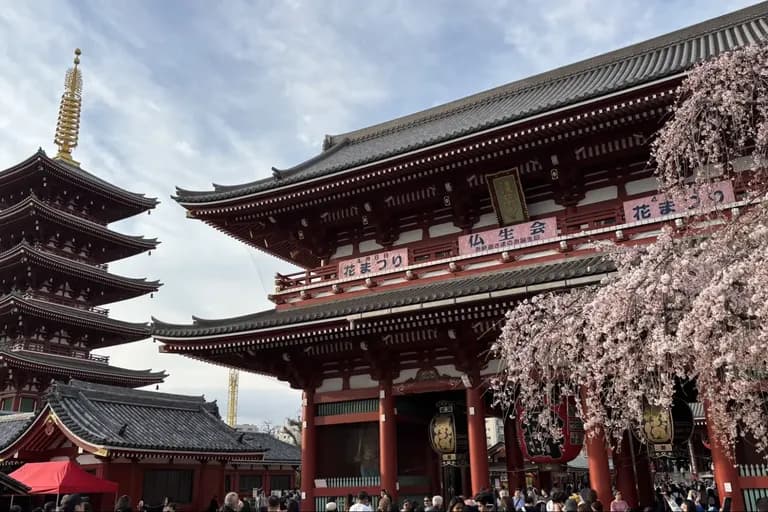 The Ultimate Guide to Japan Travel for Digital Nomads