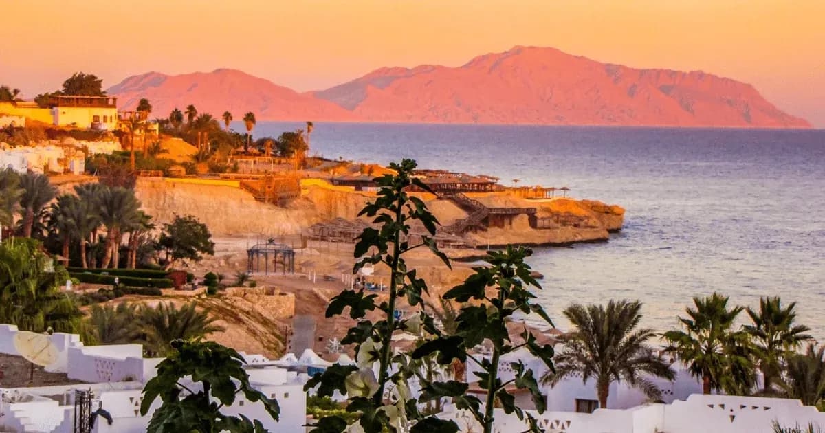 Egypt Airports Go Fully Digital for Immigration Cards Starting February 2026