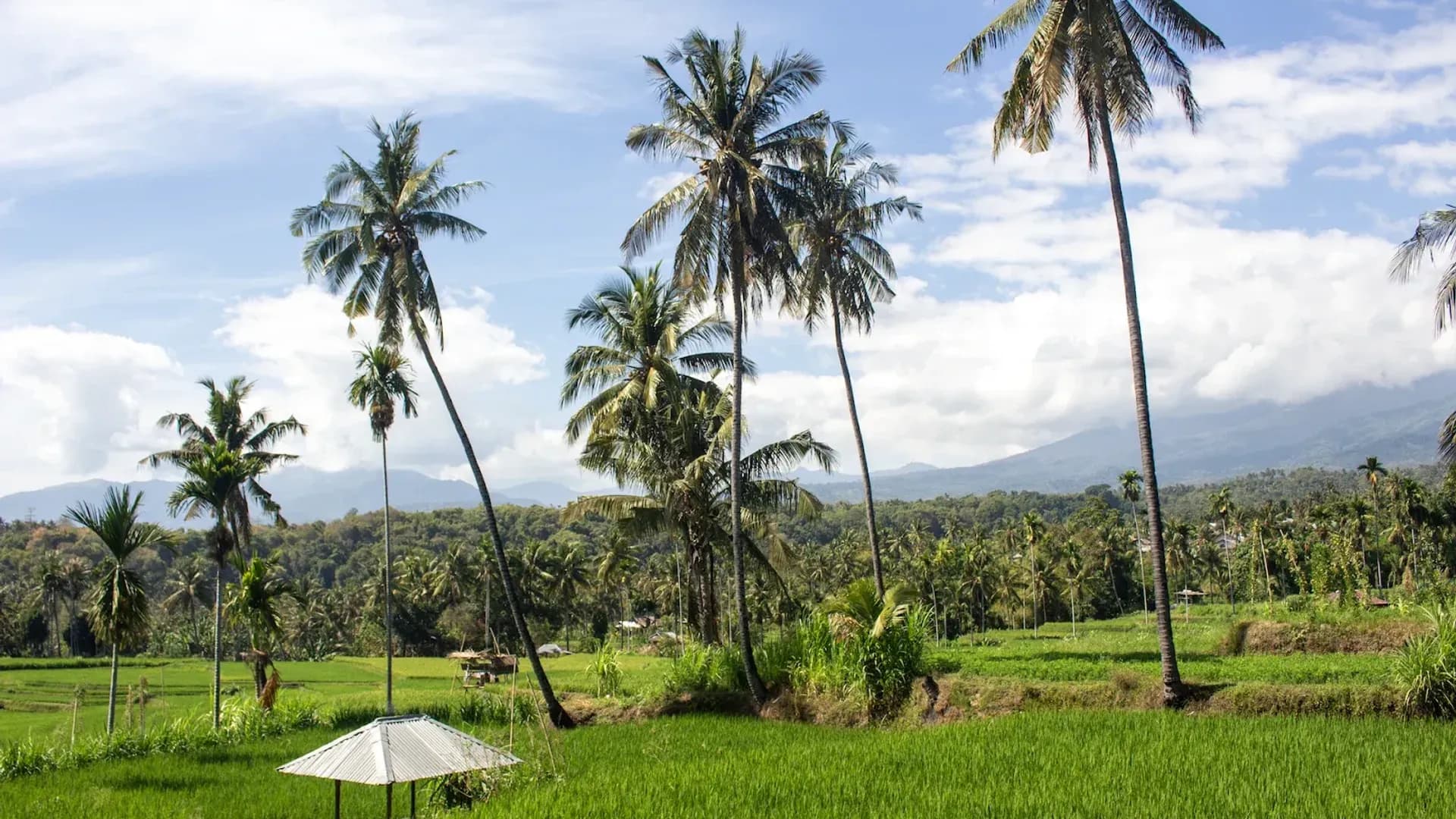 Lombok for Digital Nomads: The Ultimate Guide