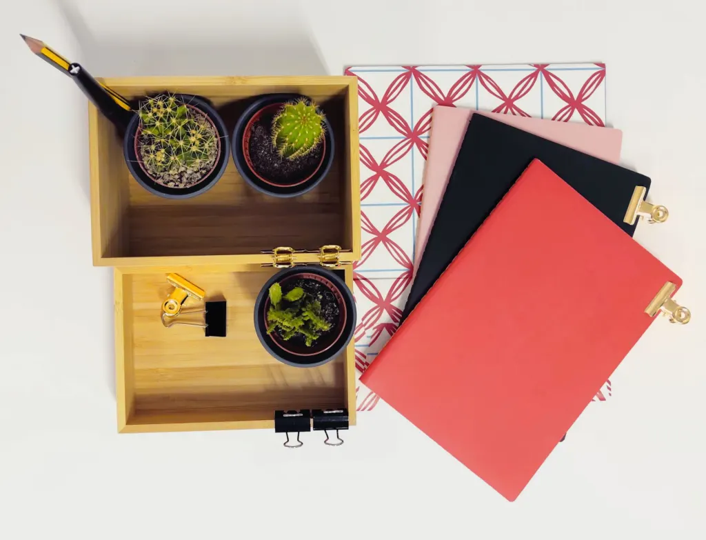 Main workspace image