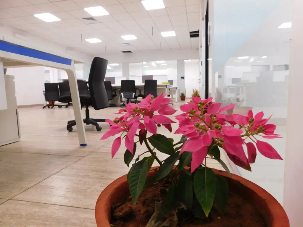 SKYS ADOBE COWORKING