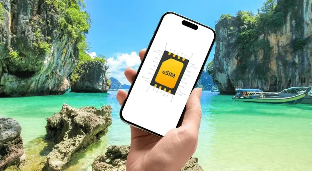 eSIM Subscriptions vs Buying Per-Trip eSIMs