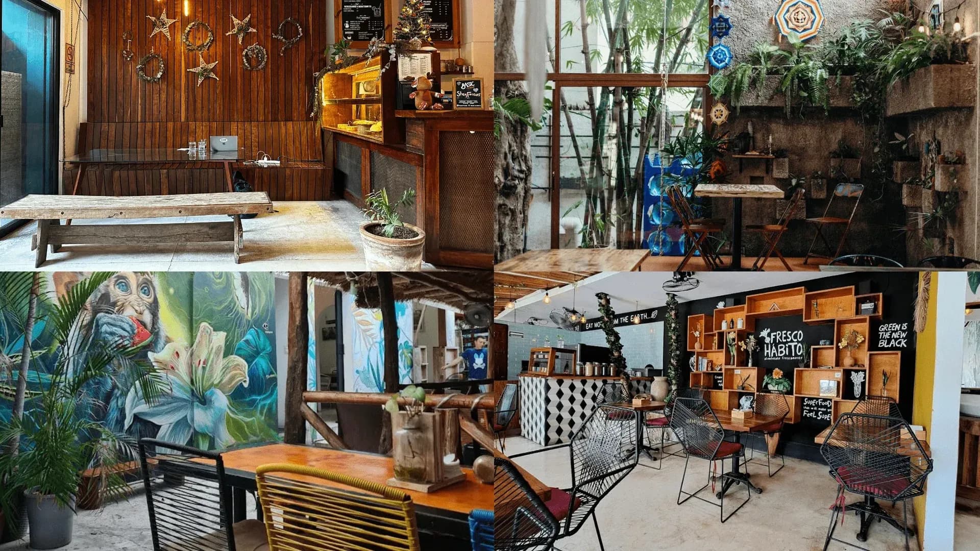 Best Laptop-Friendly Cafés in Playa del Carmen