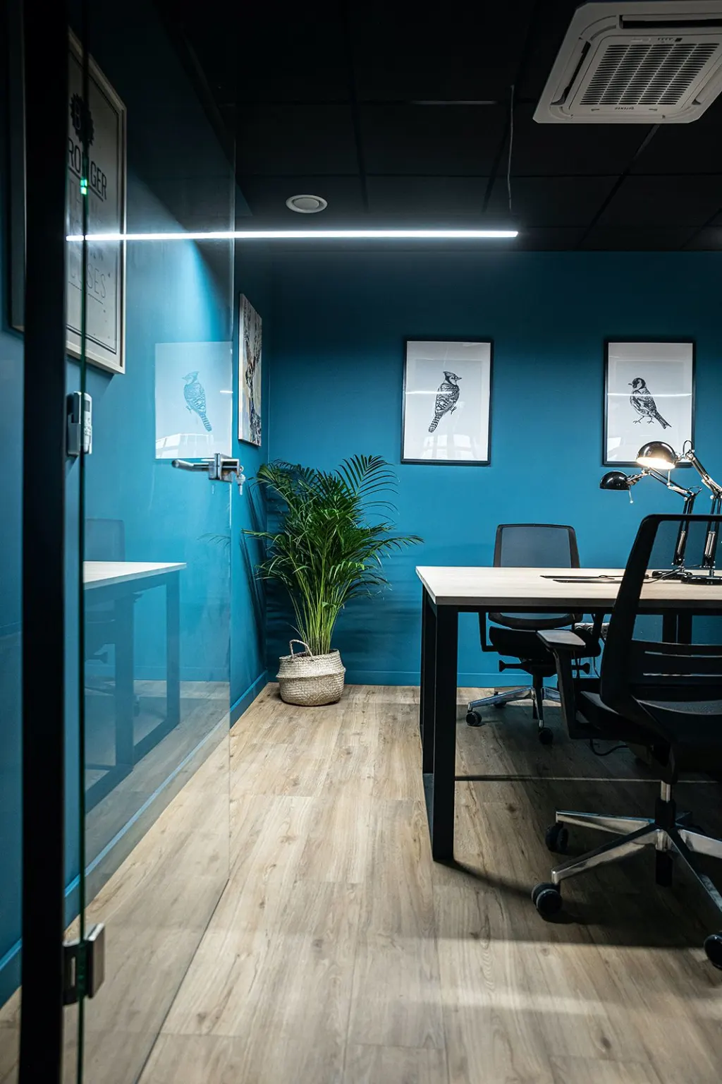 Main workspace image