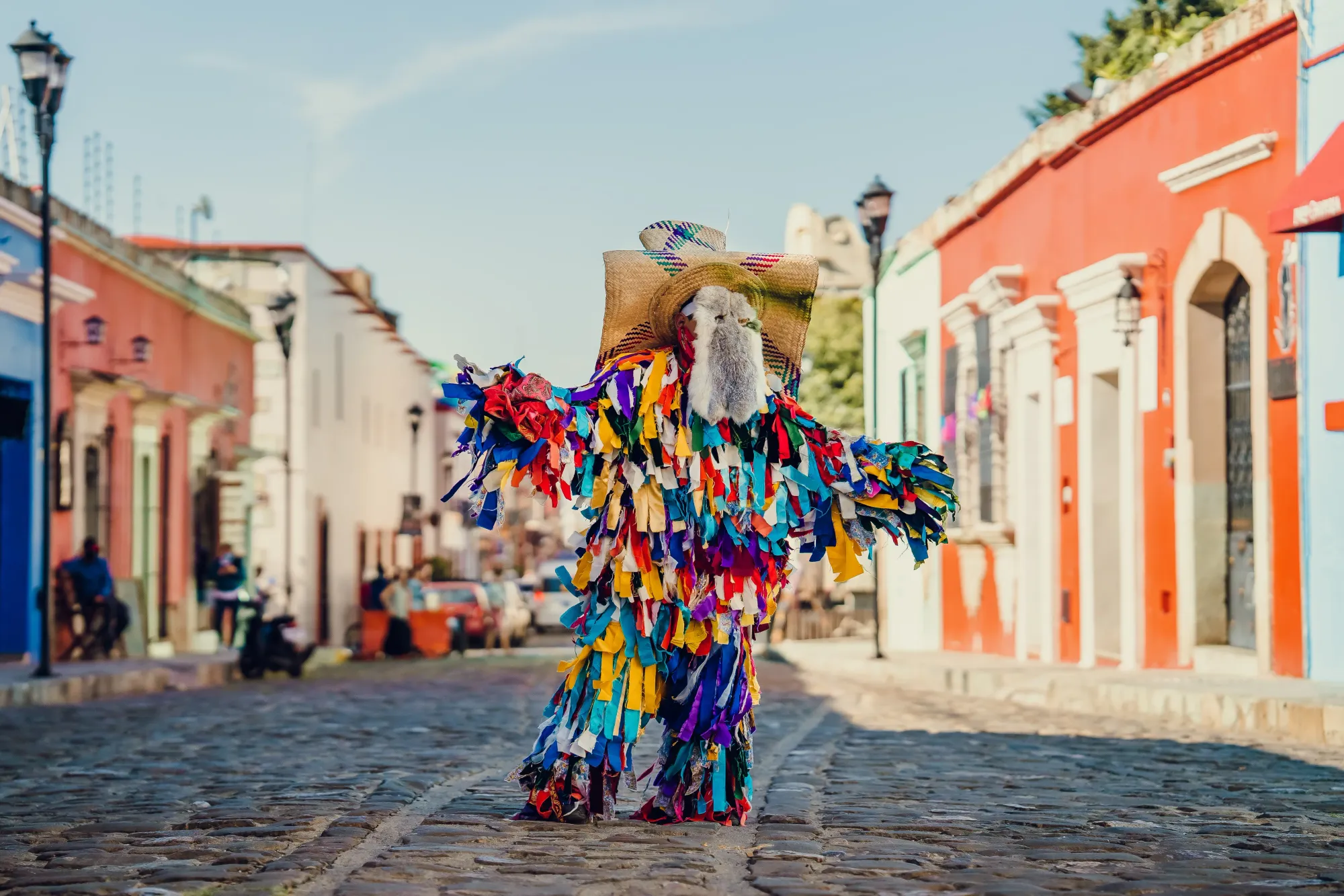 Image of a folklore dancer wearing traditonal dress in Mexico