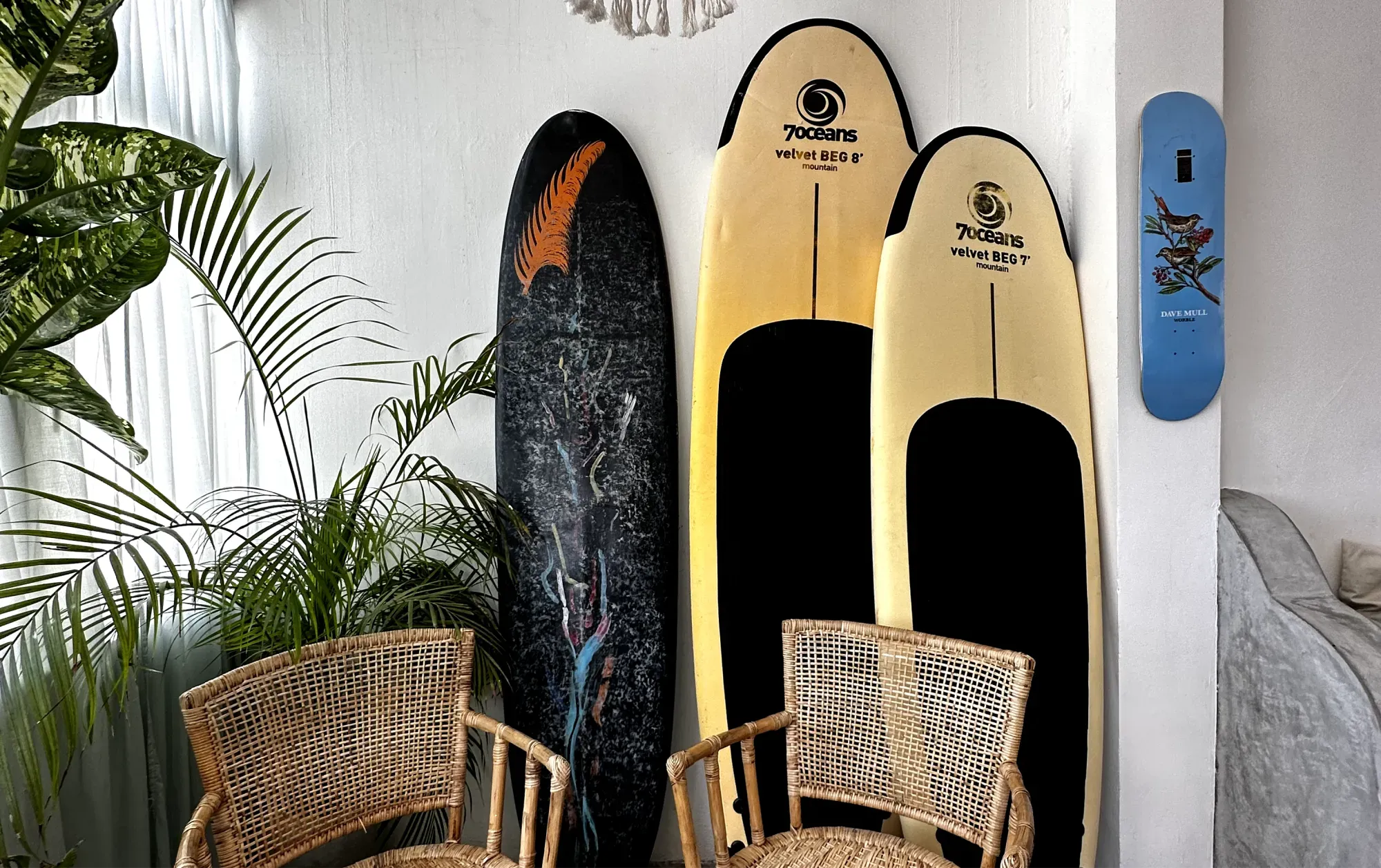 surf board in Weligama, Sri Lanka