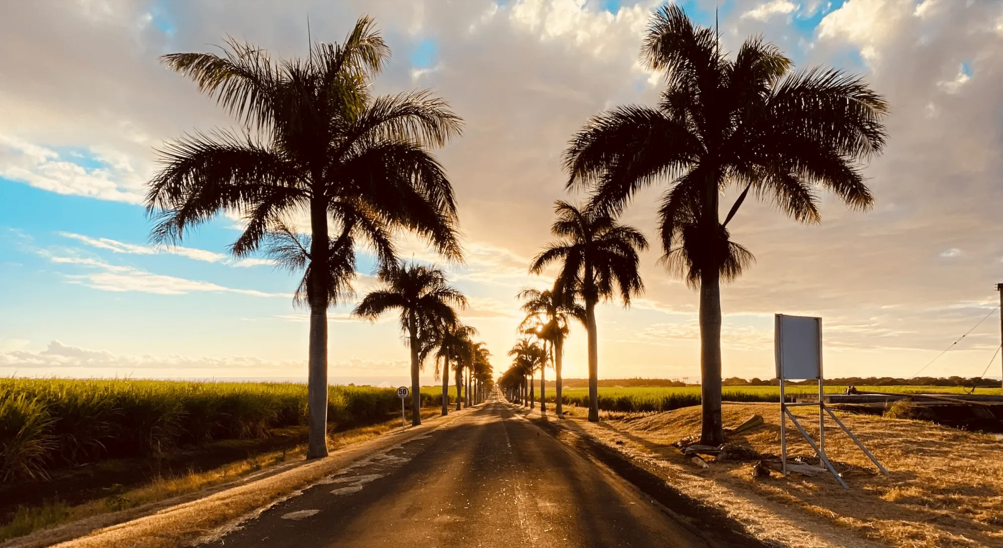 Mauritius street at sunset