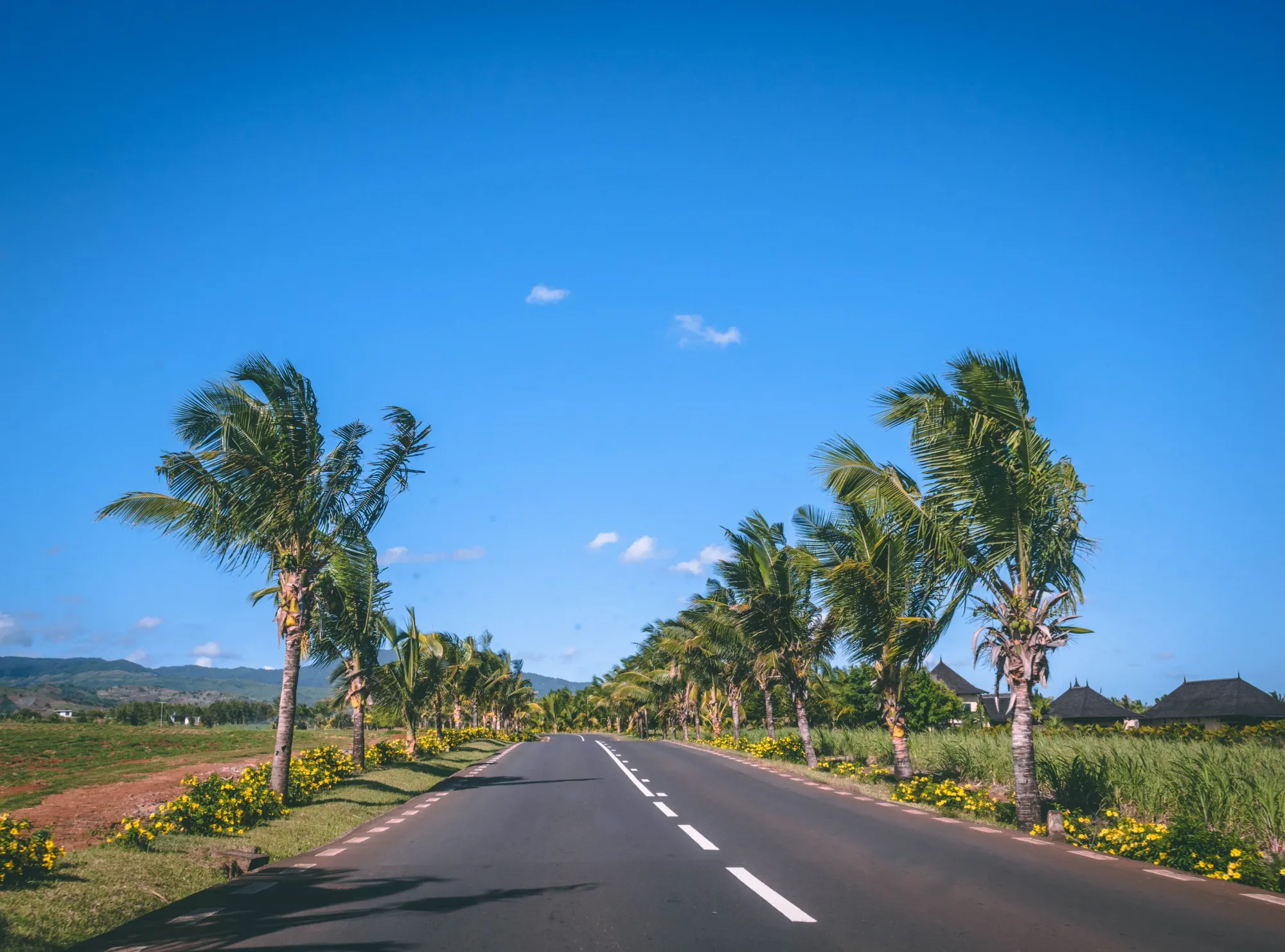 Street in Mauritius