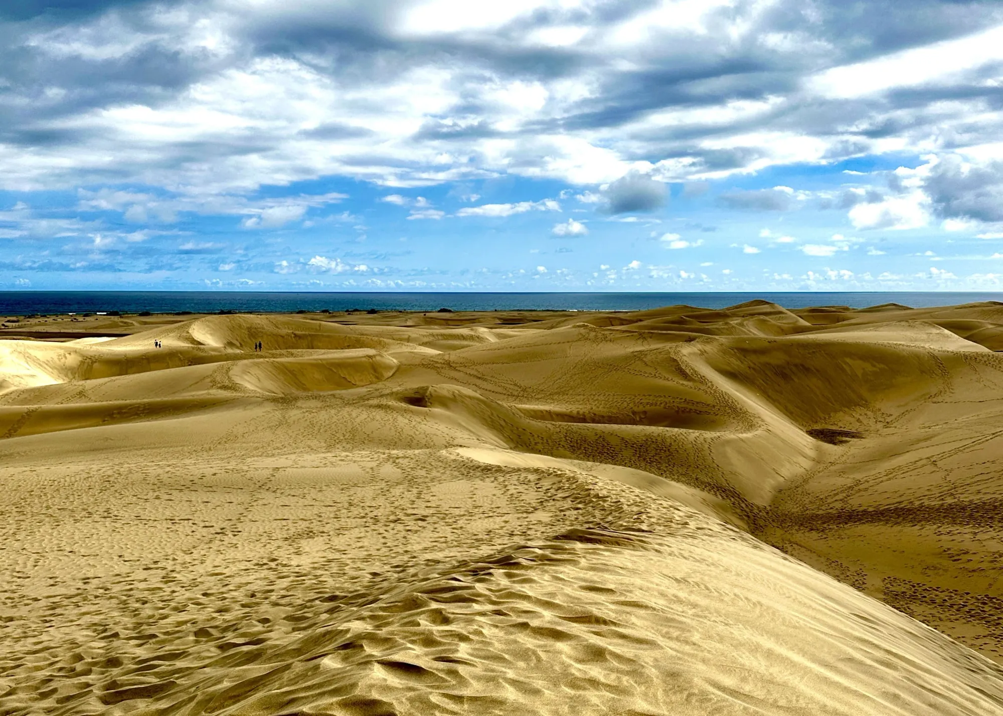 Dunes of Maspalomas 