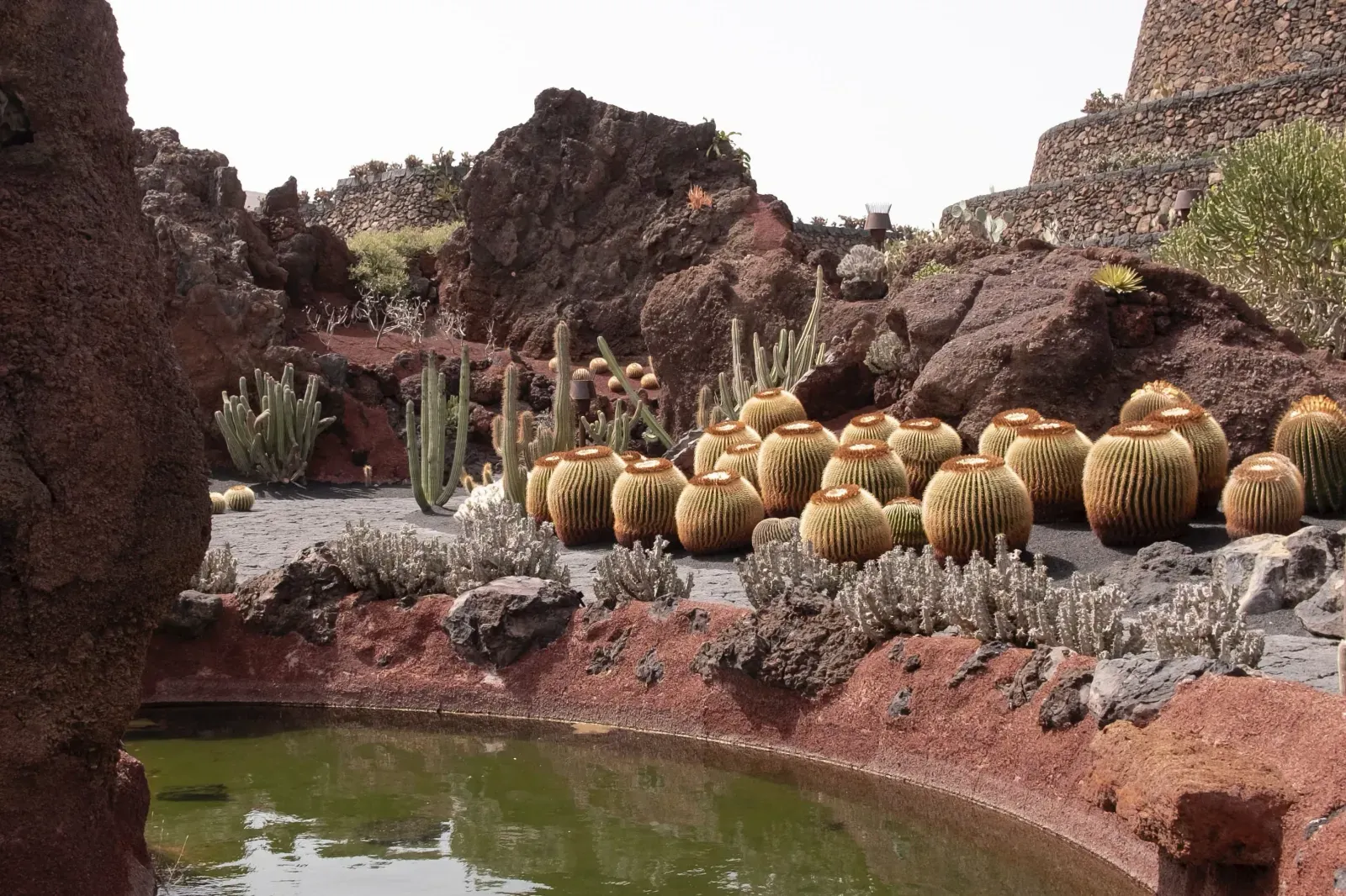 Lanzarote's Cactus Garden