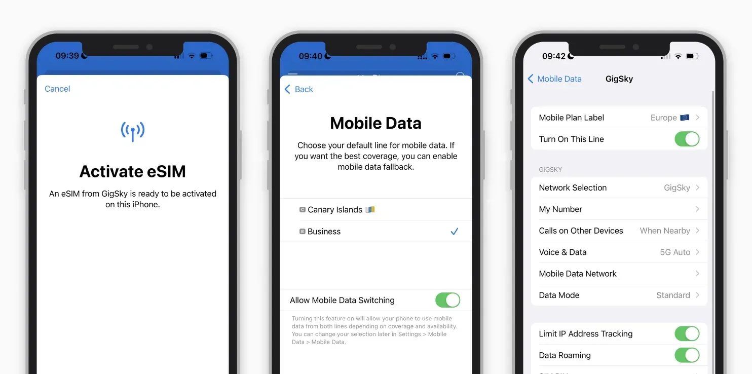 automatic eSIM installation and activation