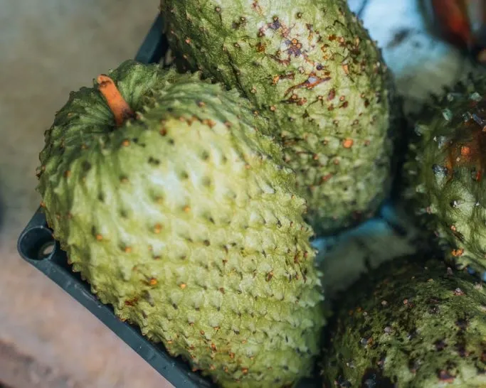 Tropical fruit found in Oaxaca's local markets