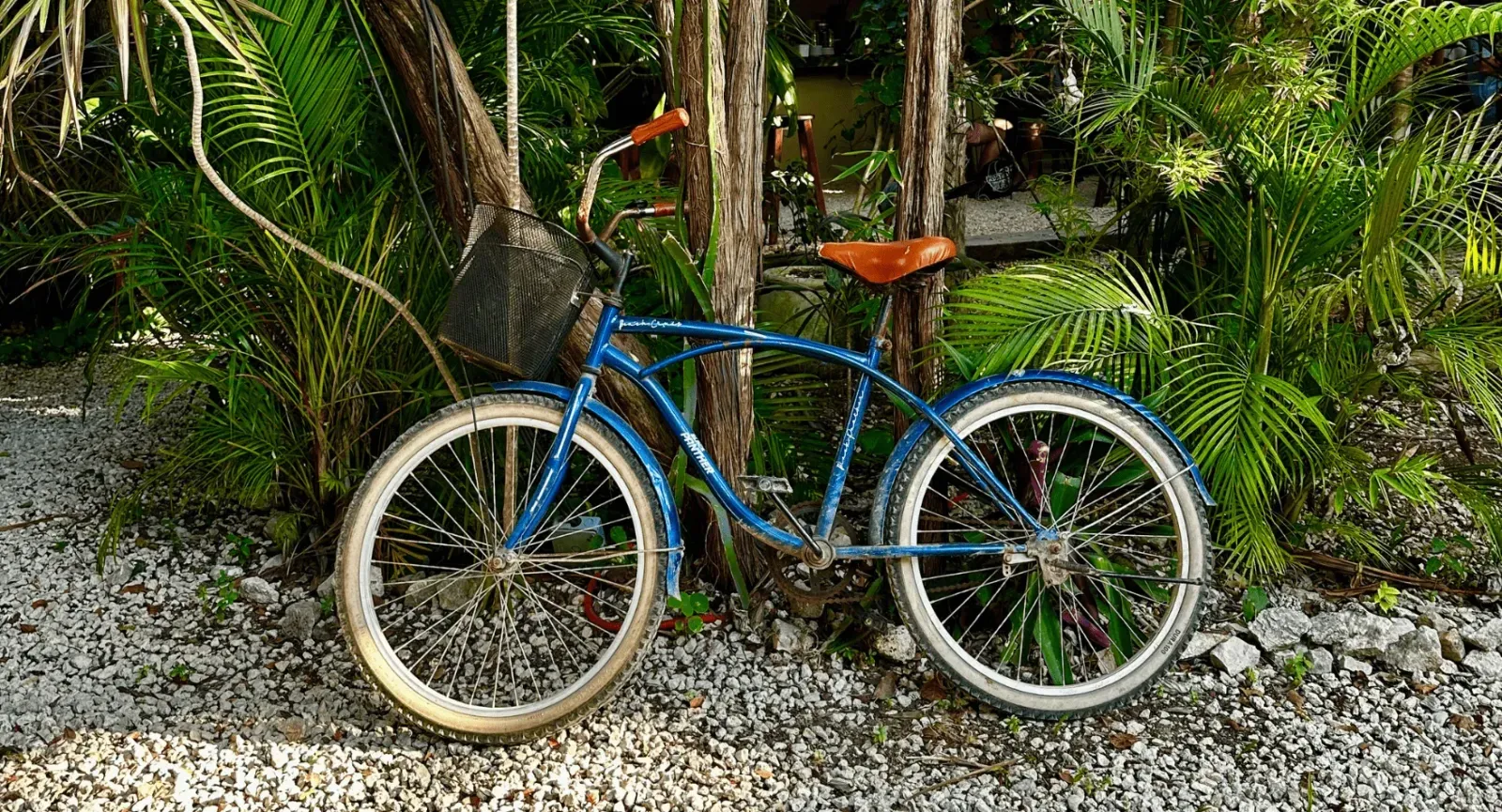 Bike in Tulum