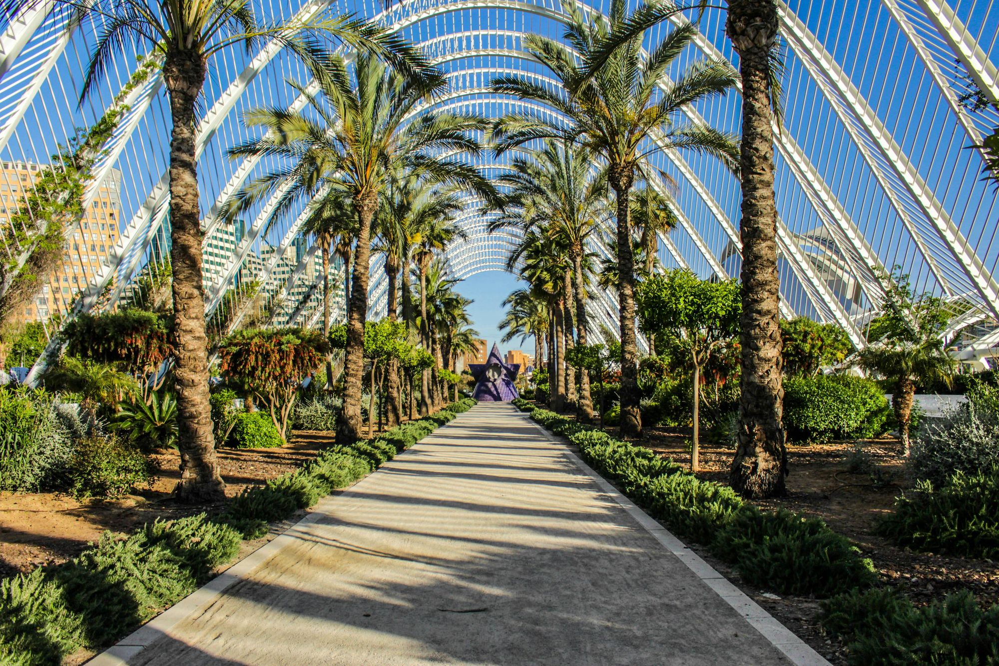 Valencia Botanical Gardens