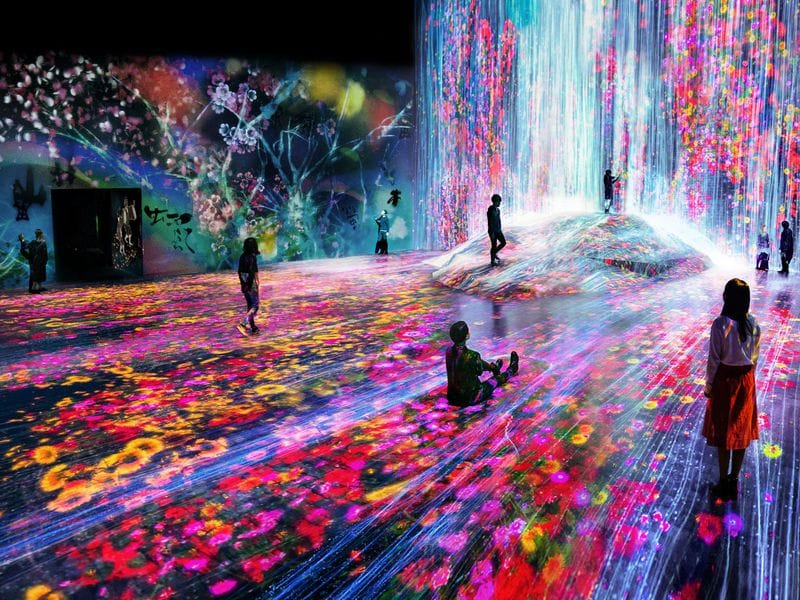 teamLab’s Borderless