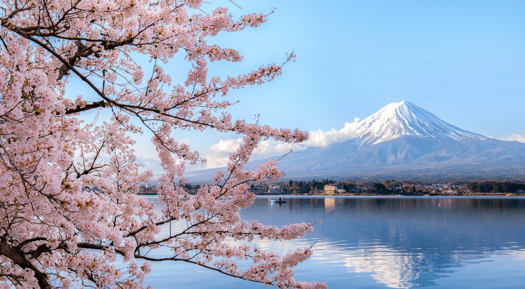 Mount Fuji overlooking a lake with cherry blossom tree in Tokyo, Japan