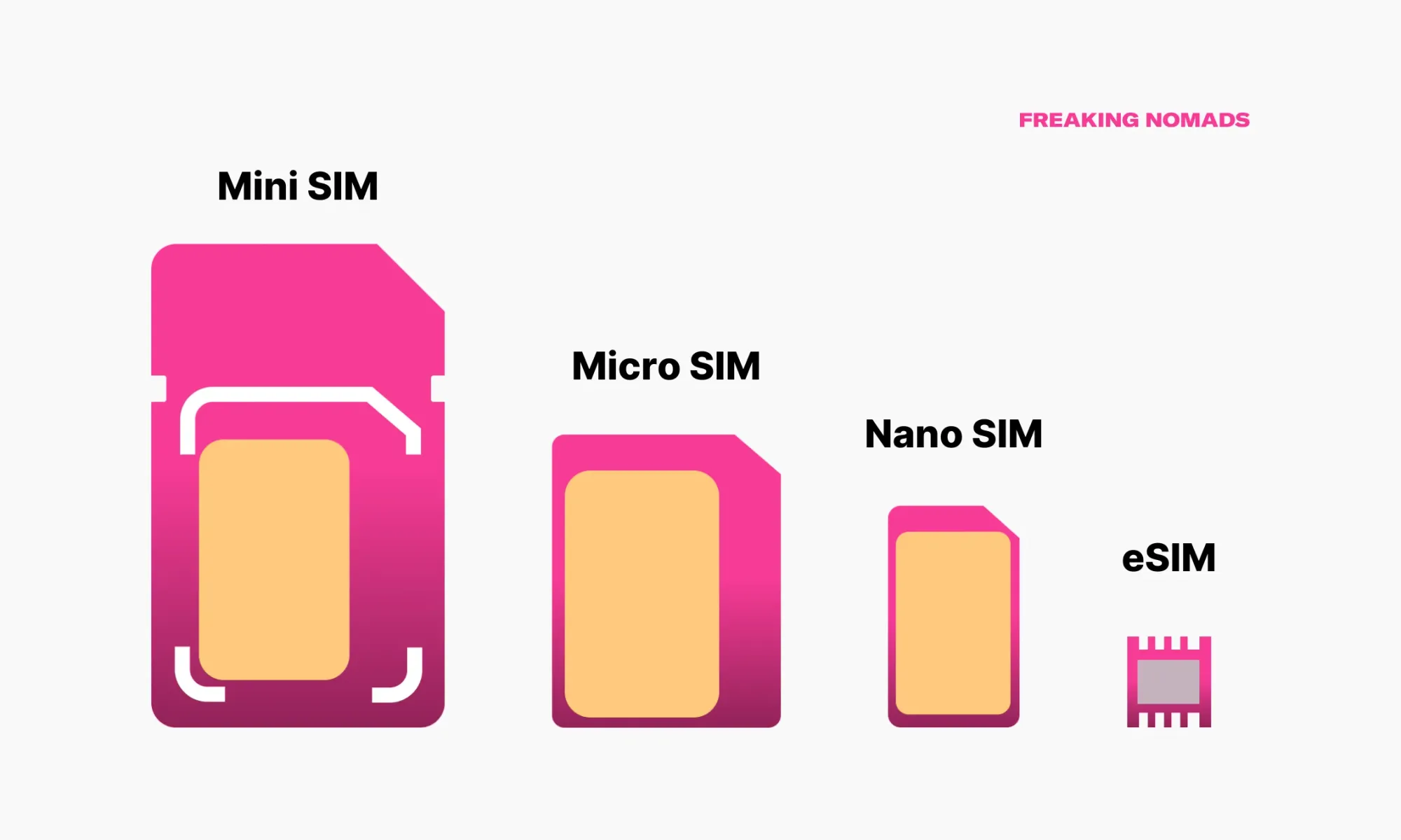 Physical SIMs vs eSIMs: infographic that shows how an eSIM work