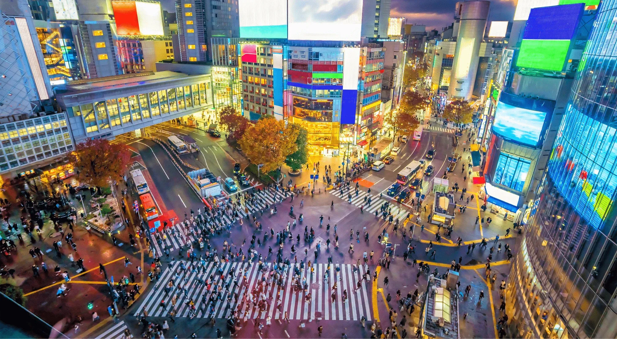 Shibuya from above