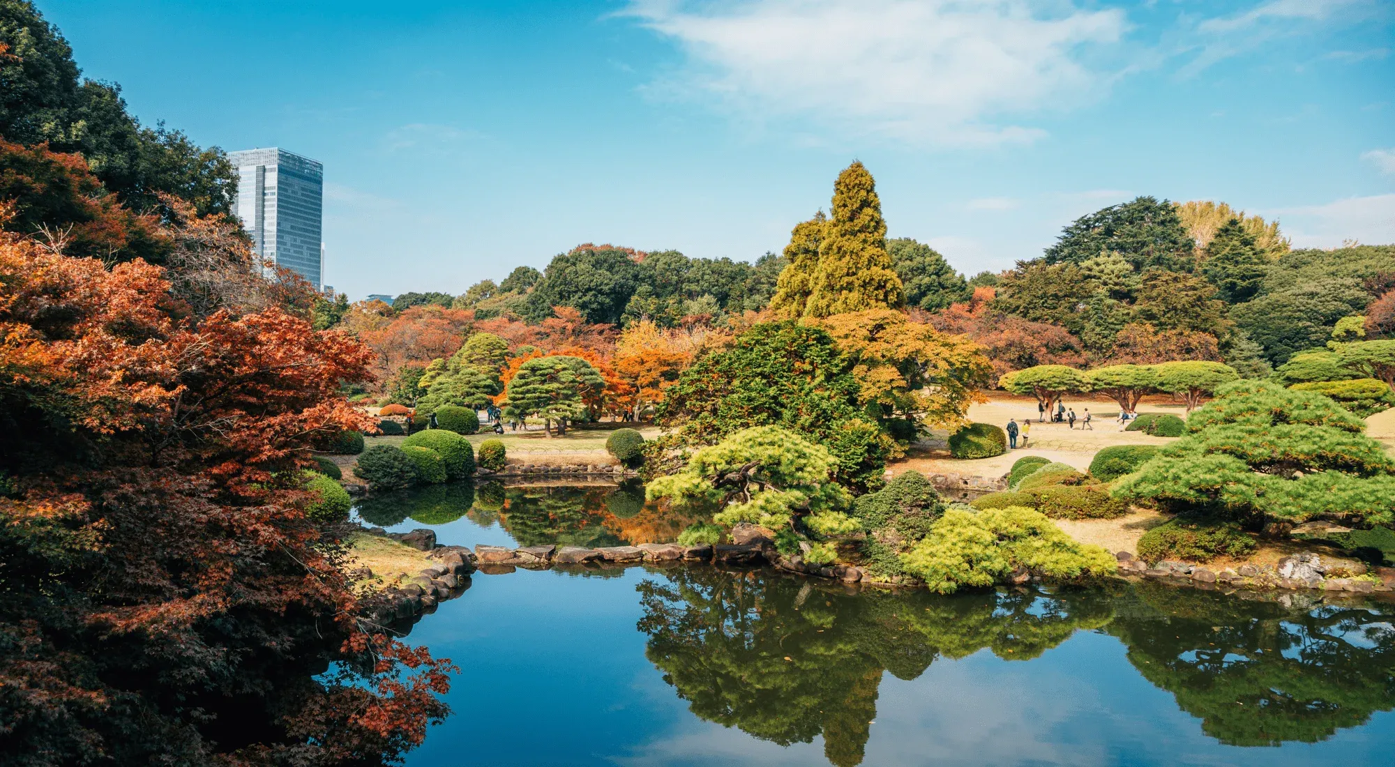 Shinjuku Gyoen in Tokyo, Japan