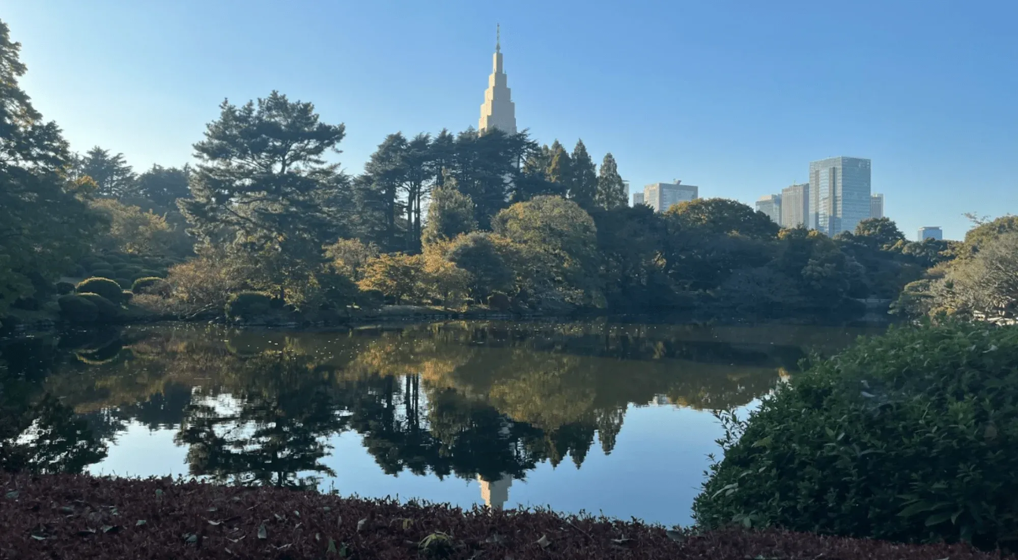 Shinjuku Gyoen in Tokyo, Japan