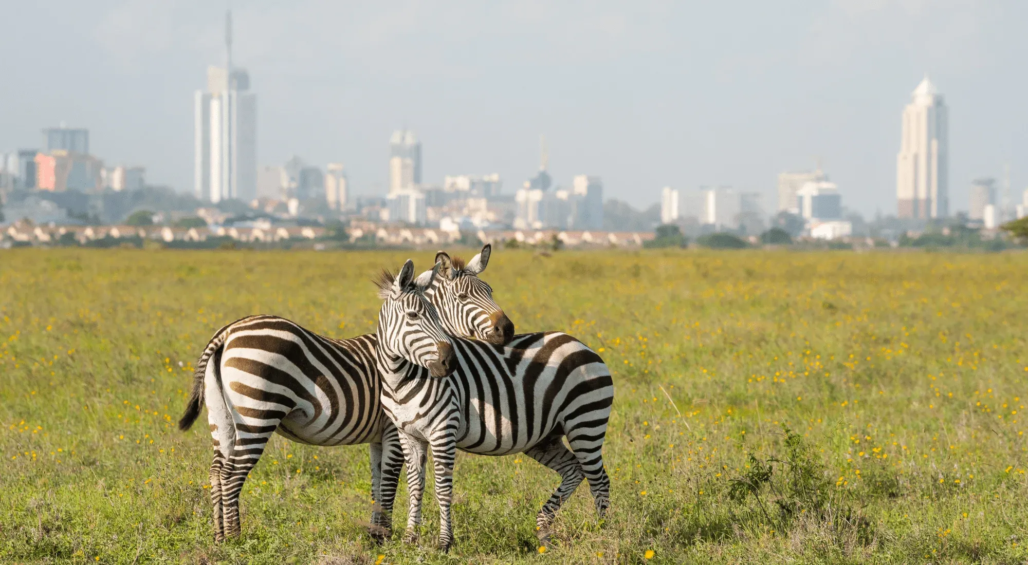 Nairobi, Kenya