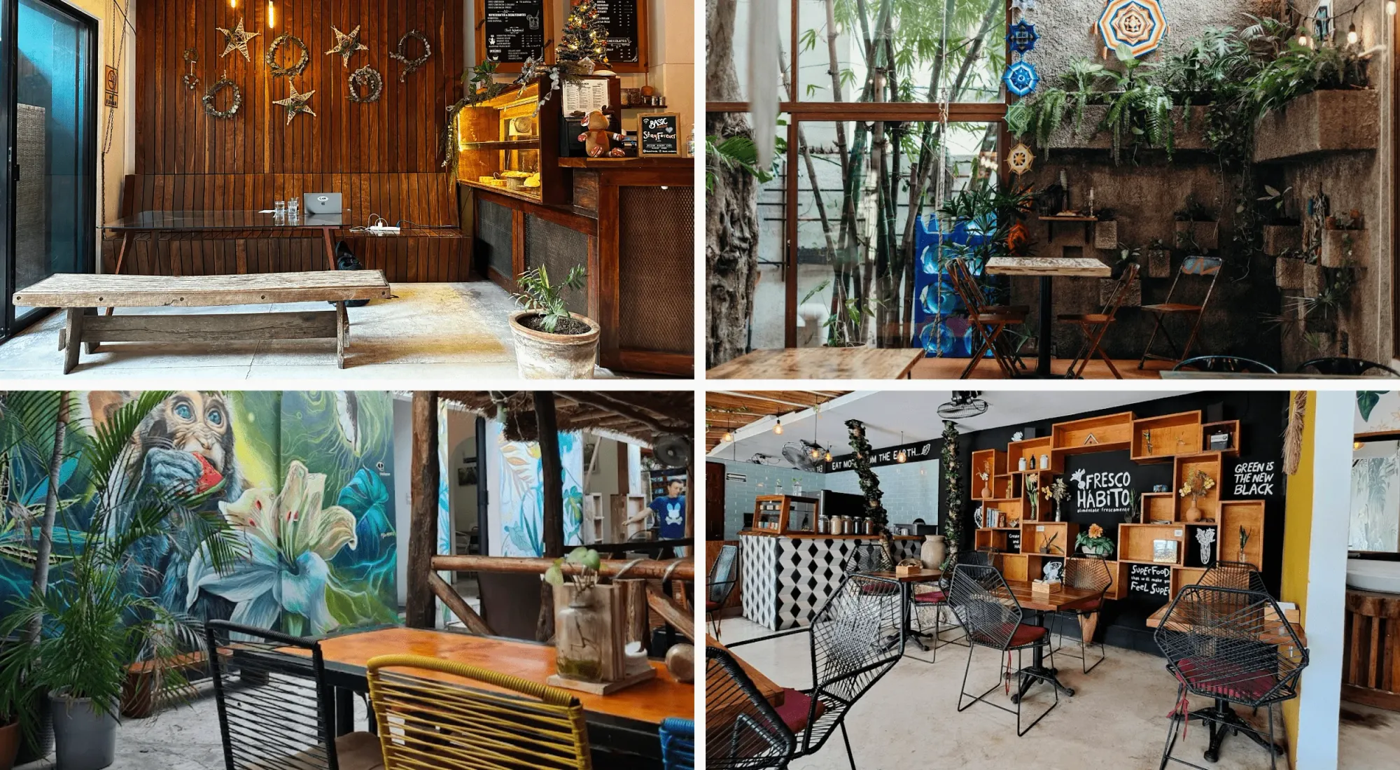 Best laptop-friendly cafes in Playa del Carmen