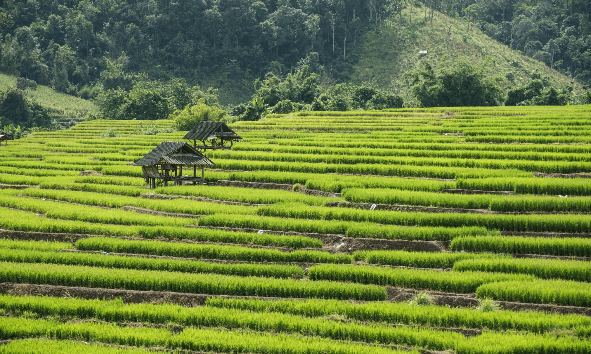 Chiang Rai, Thailand