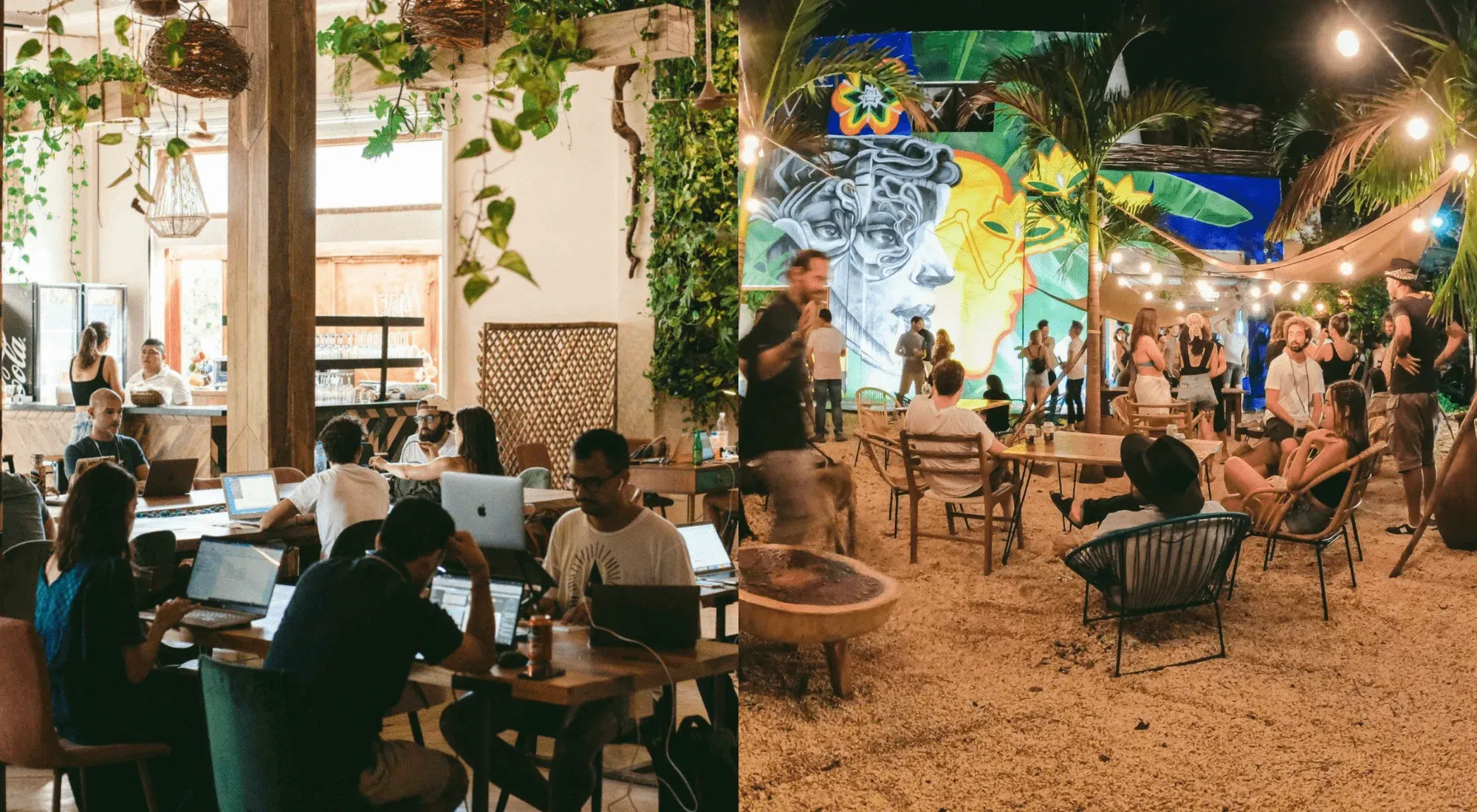 Digital Jungle (Tulum, Mexico)