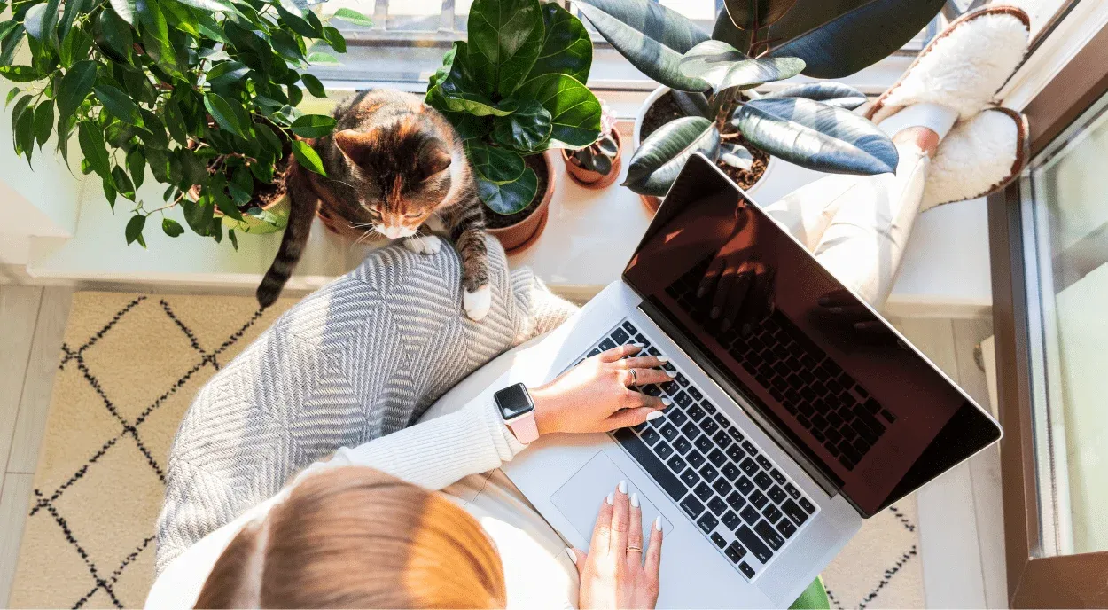 Digital nomad house and pet sitter