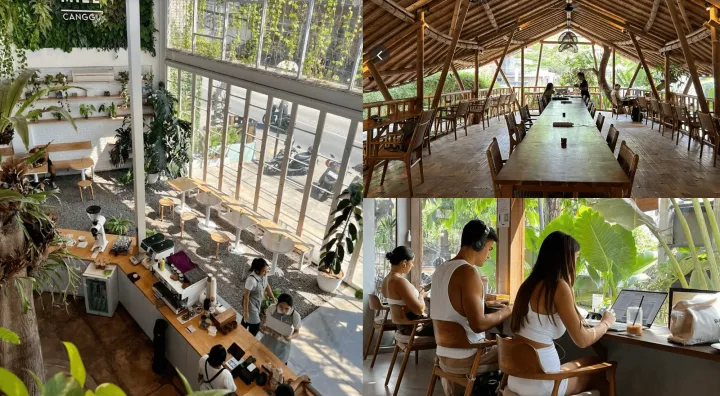 The BEST Laptop-Friendly Cafes To Work From in Canggu