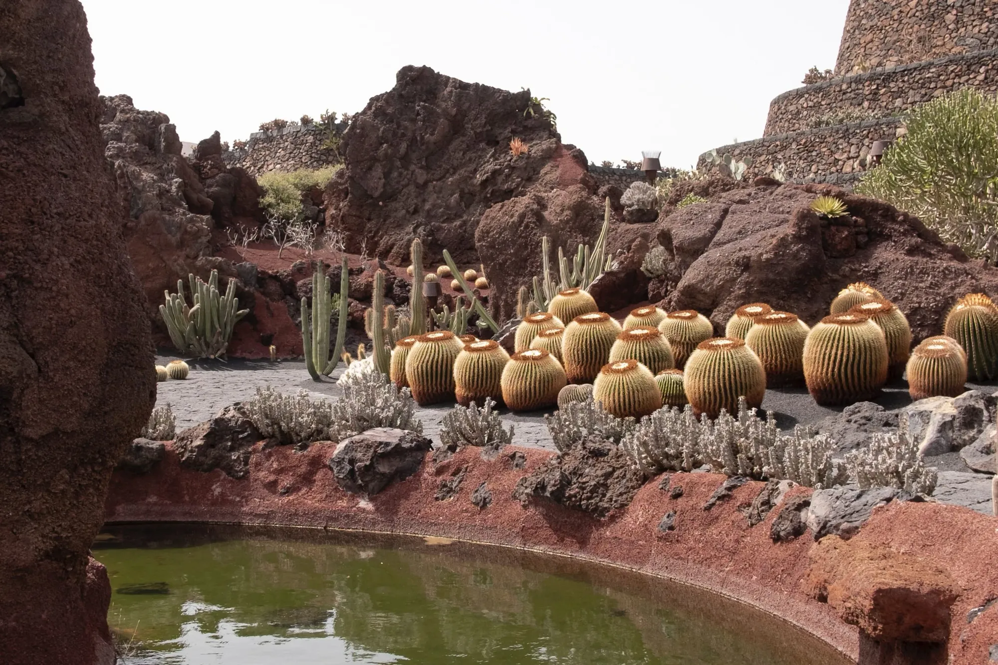 Giardino dei cactus a Lanzarote, Isole Canarie