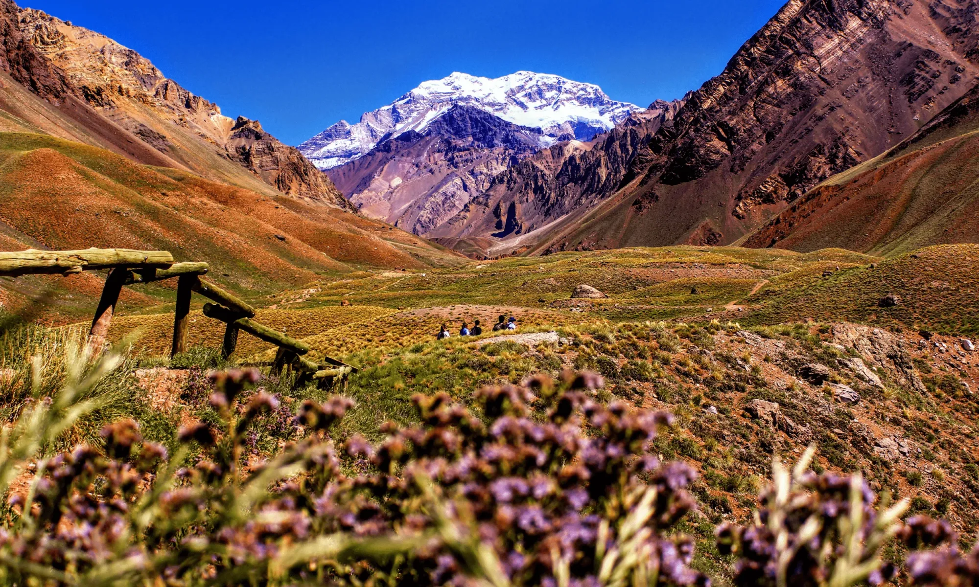 Montagne in Argentina in Primavera