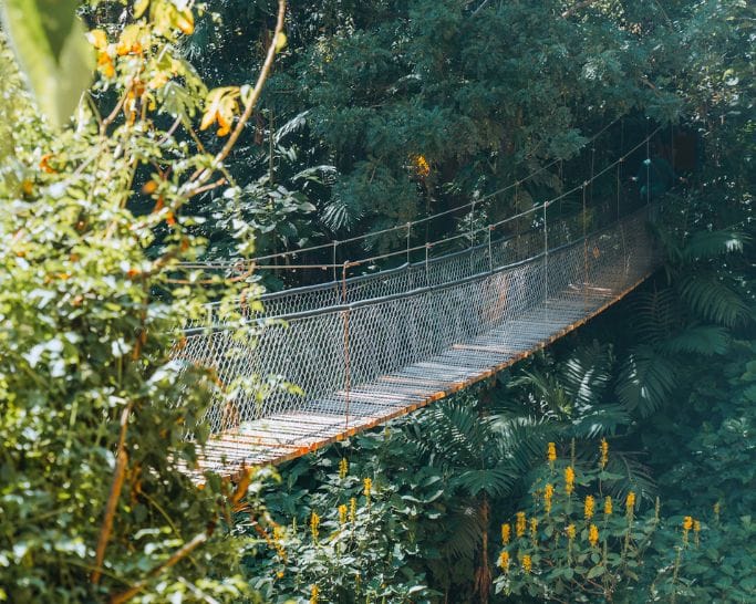 Ponte sospeso dentro la Reserva Natural di Panajachel