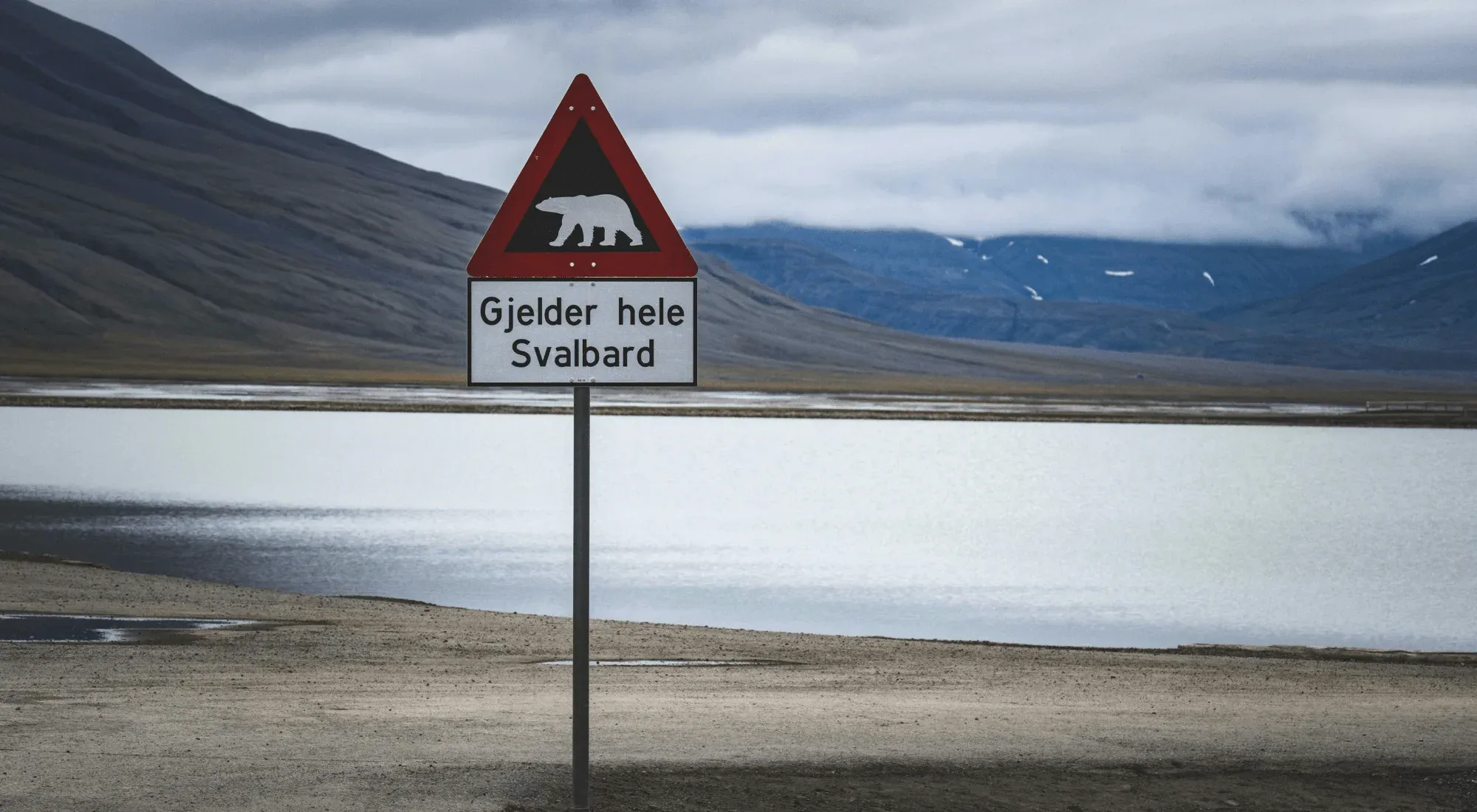 Segnali orsi alle Isole Svalbard